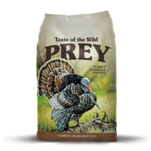 prey pavo turkey