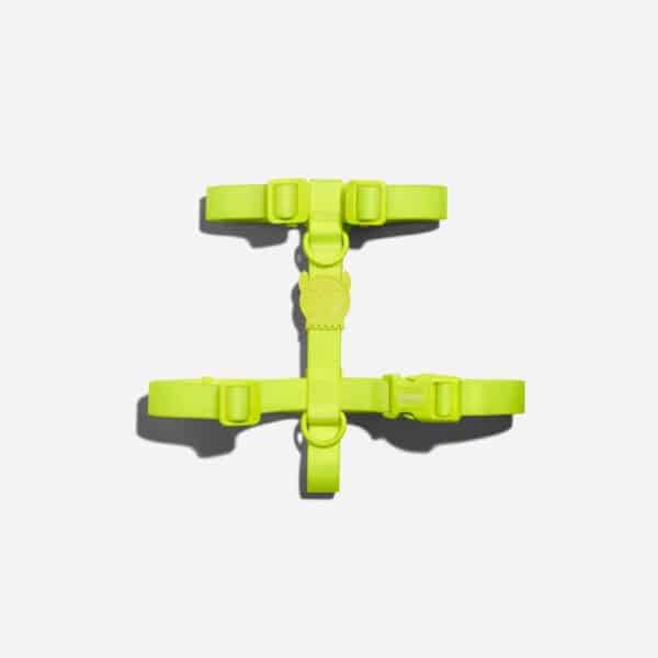 H-HARNESS lime