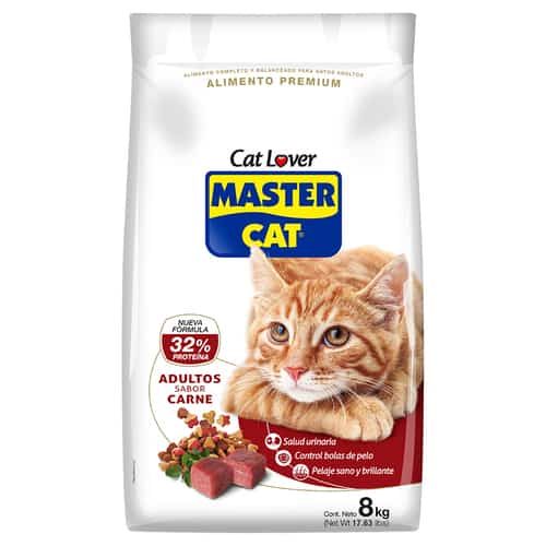 Master cat carne