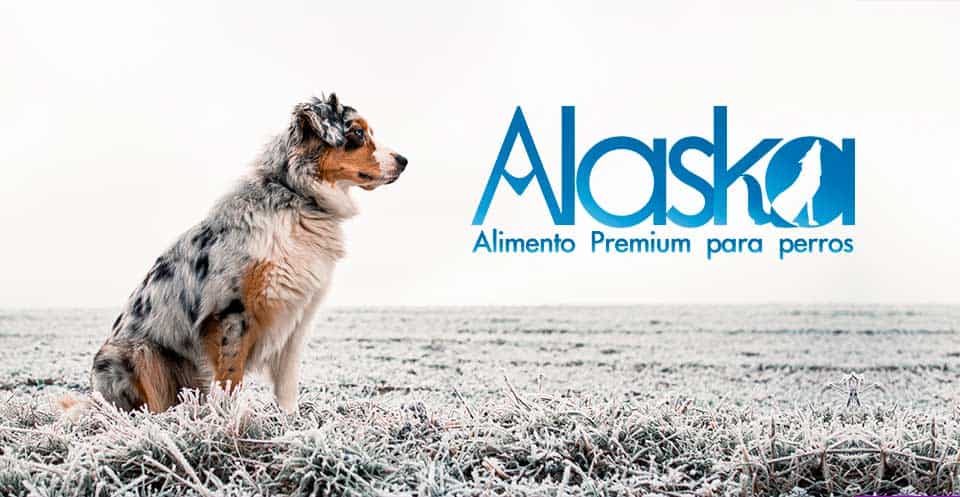 Alaska ALimento PRemium